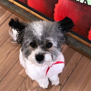 Meet your Posher, Georgia